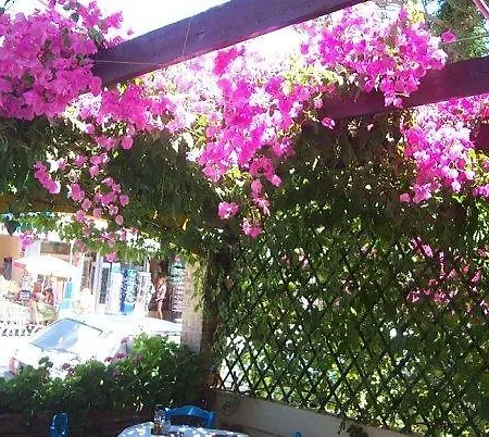 Stylianos Hostel *